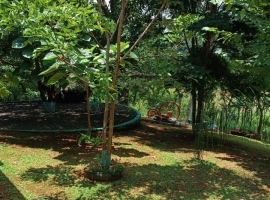 Edifício Vista Bela